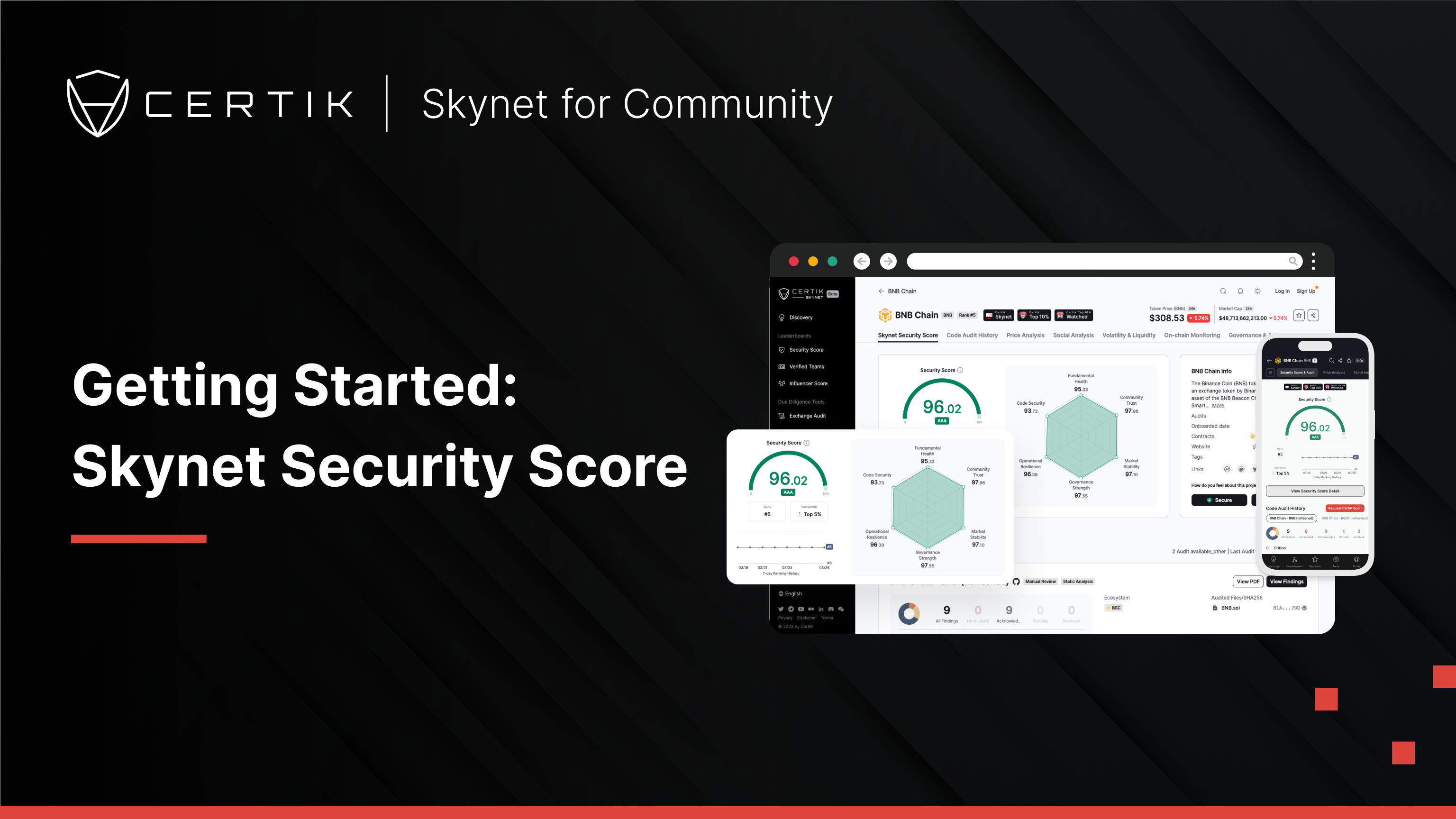 Skynet Security Score