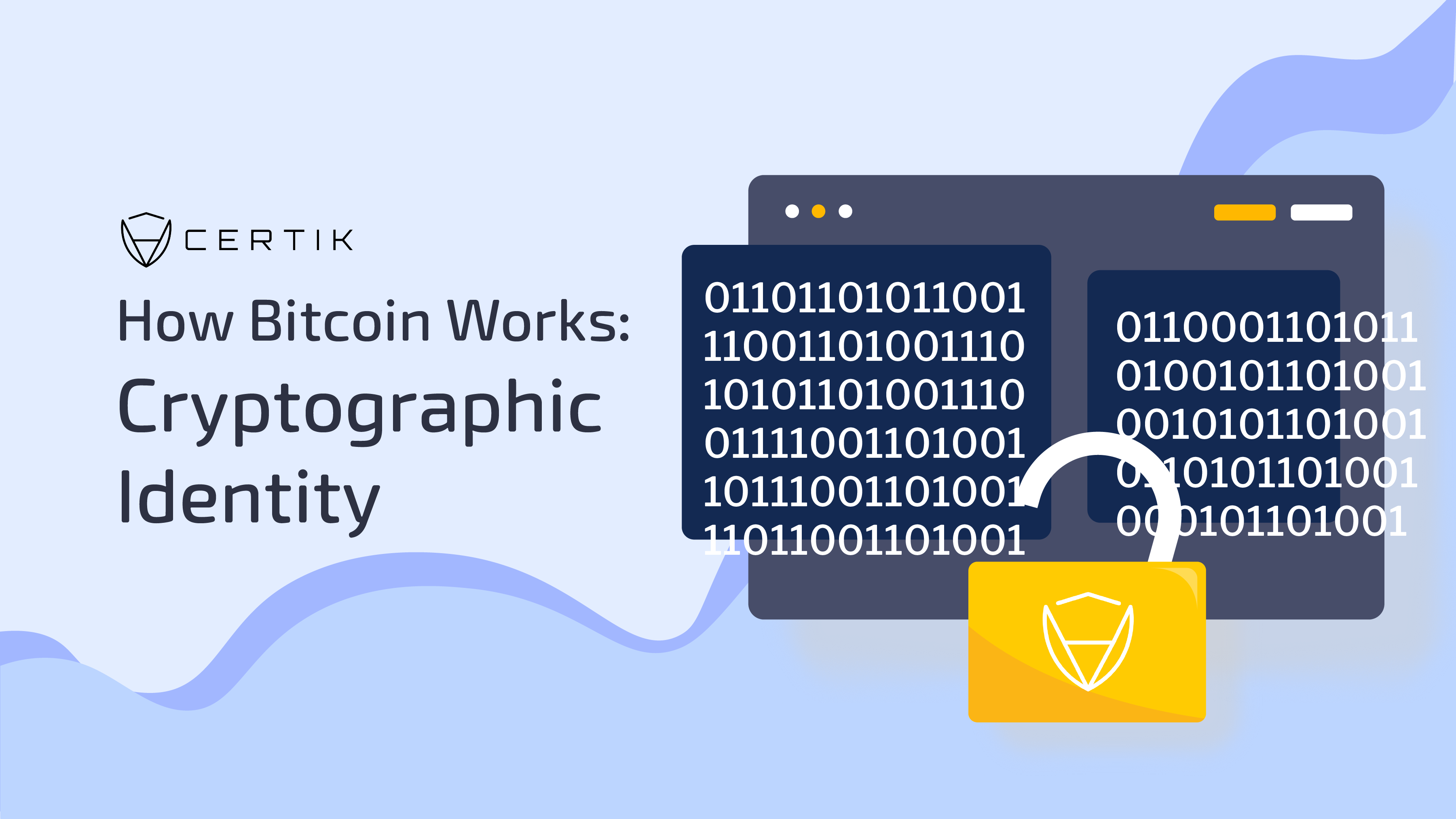 How Bitcoin Works: Cryptographic Identity