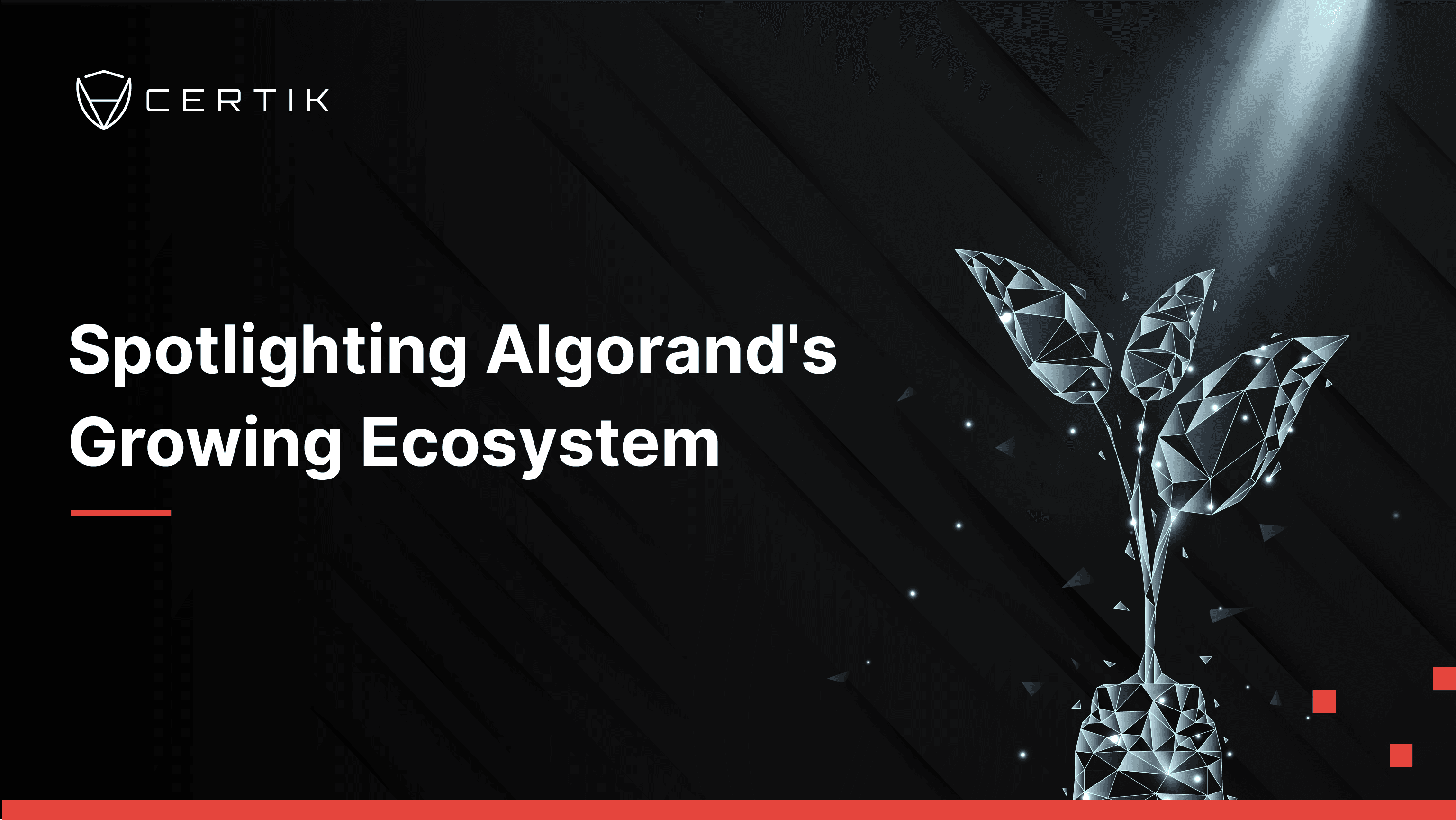 Spotlighting Algorand's Growing Ecosystem