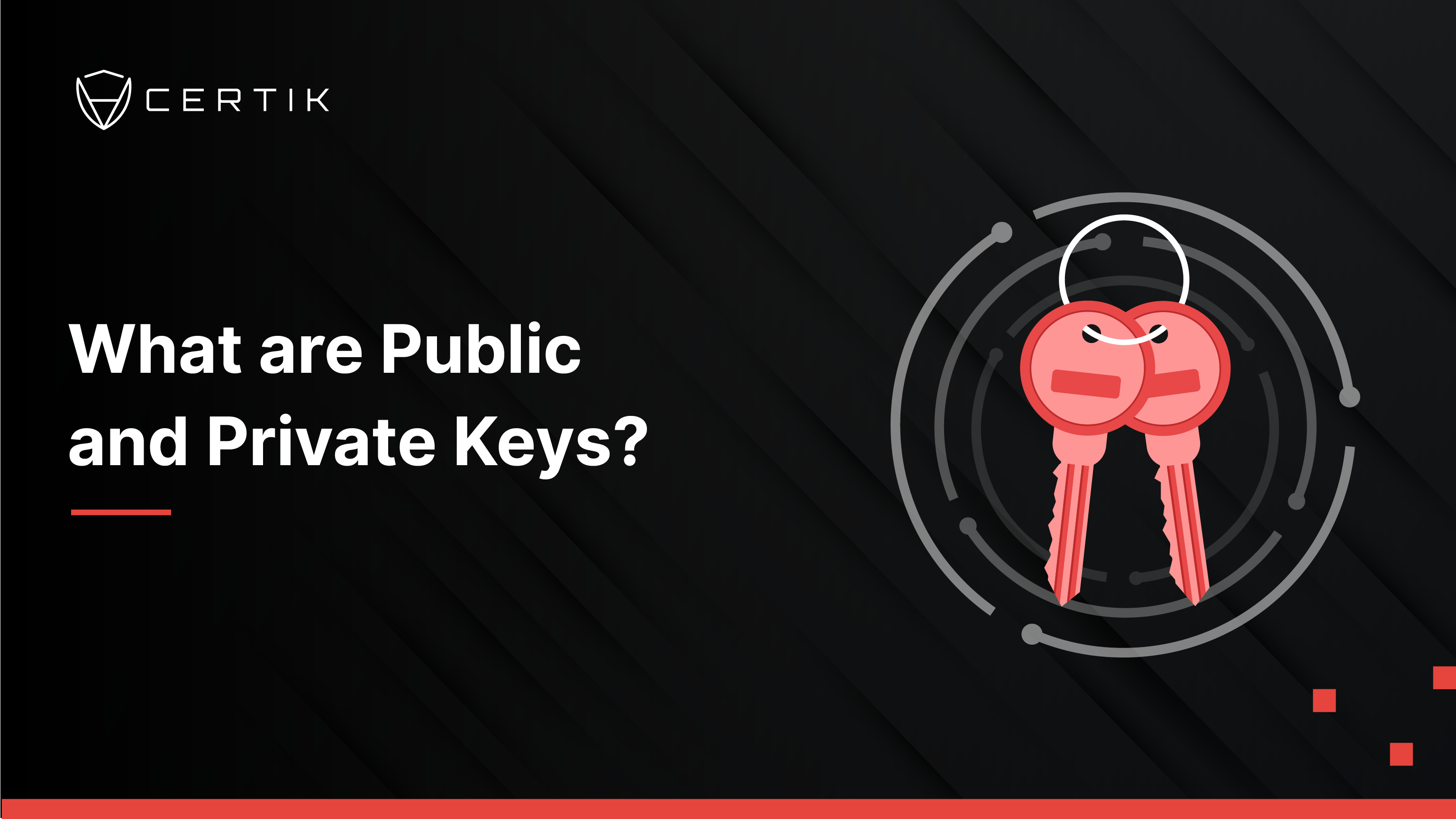 What are Public and Private Keys?